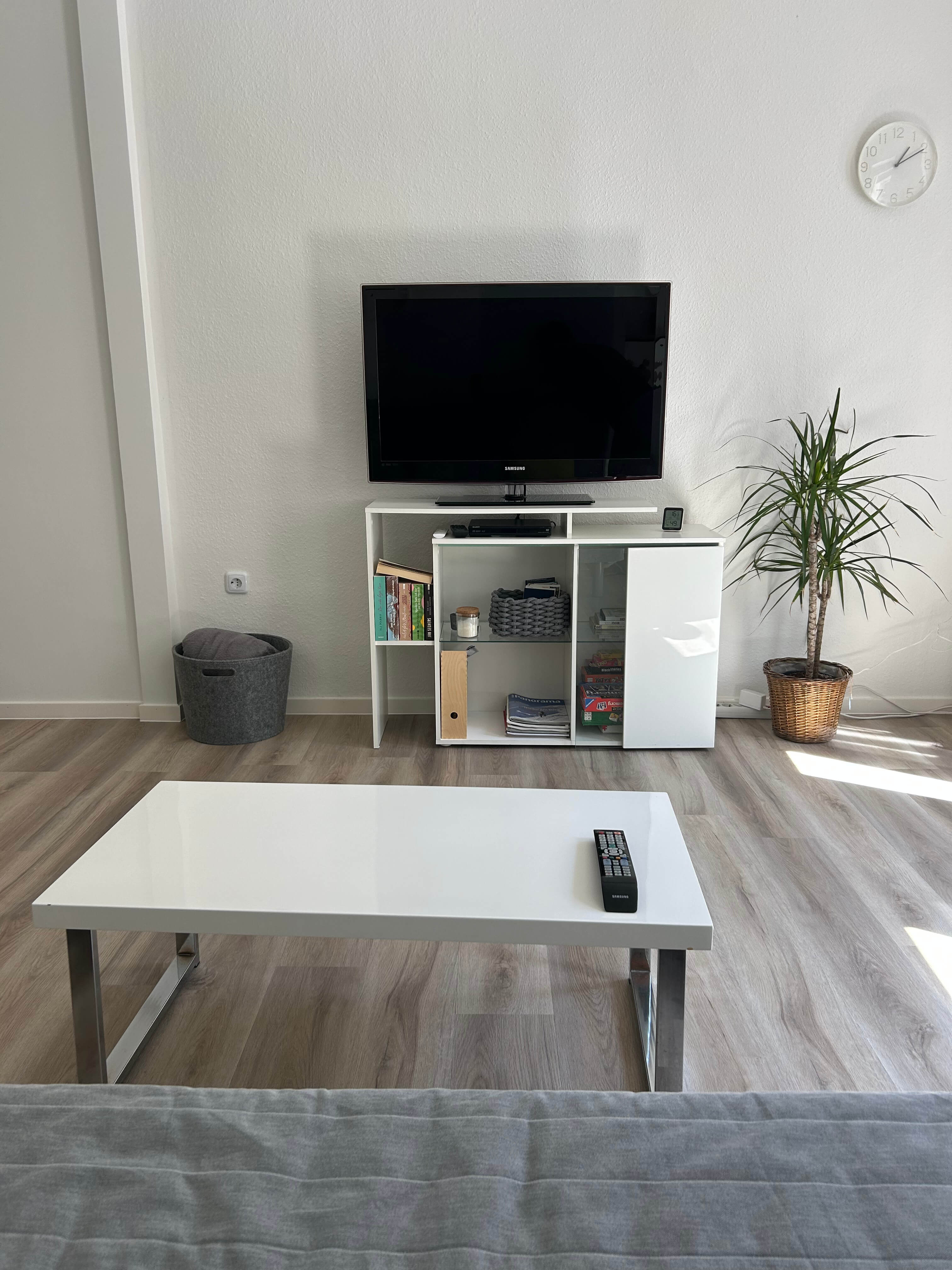 Quartier 26 – TV-Bereich mit Pflanze und Couchtisch